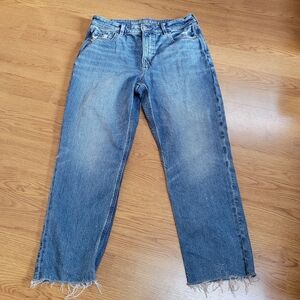 American Eagle Strigid Mom Jeans